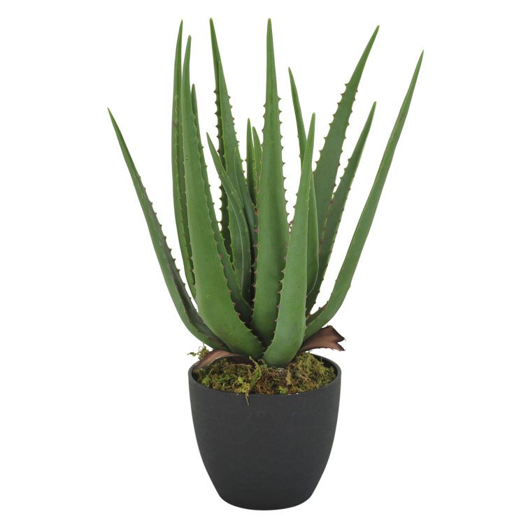 The Seasonal Aisle 47Cm Faux Aloe Plant in Pot Wayfair.co.uk